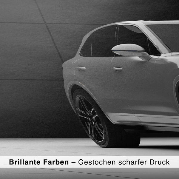 Lade das Bild in den Galerie-Viewer, CAR0142_1