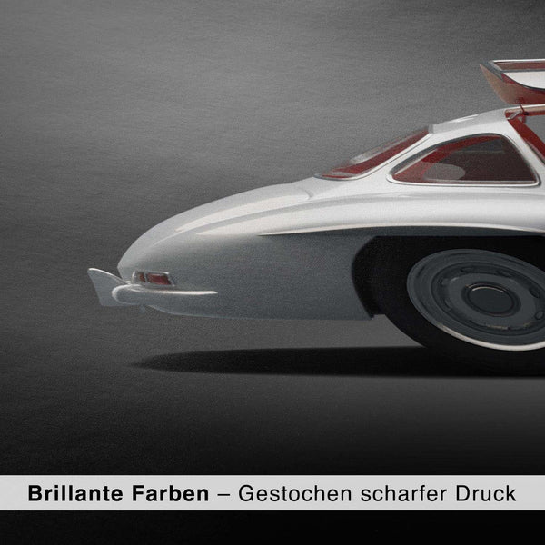 Lade das Bild in den Galerie-Viewer, CAR0209_1