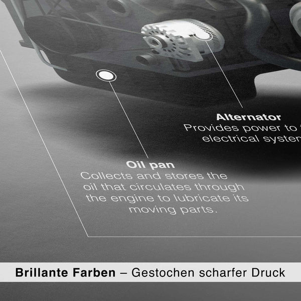 Lade das Bild in den Galerie-Viewer, CAR0285_1