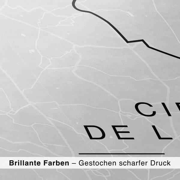 Lade das Bild in den Galerie-Viewer, CAR0300_1