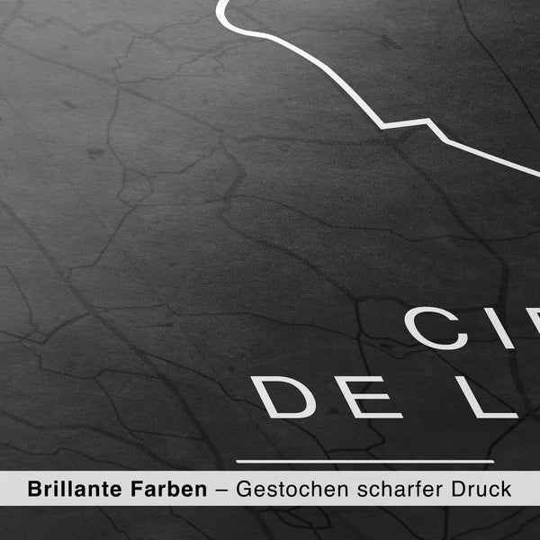 Lade das Bild in den Galerie-Viewer, CAR0301_1