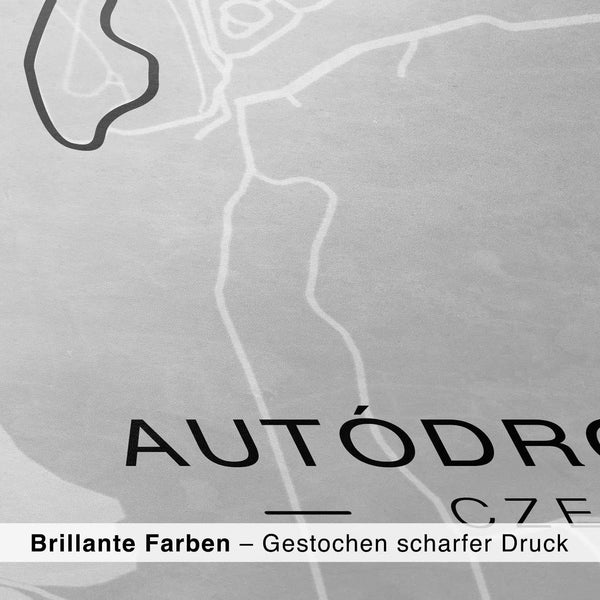 Lade das Bild in den Galerie-Viewer, CAR0316_1