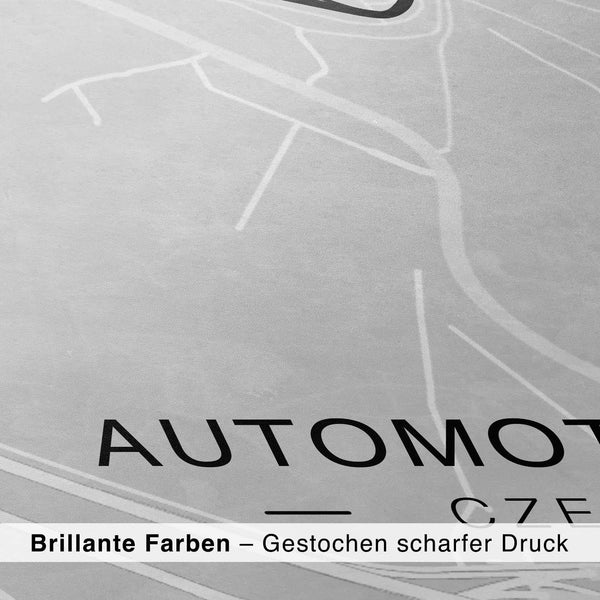 Lade das Bild in den Galerie-Viewer, CAR0317_1