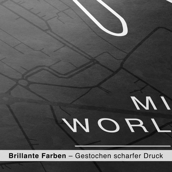 Lade das Bild in den Galerie-Viewer, CAR0321_1