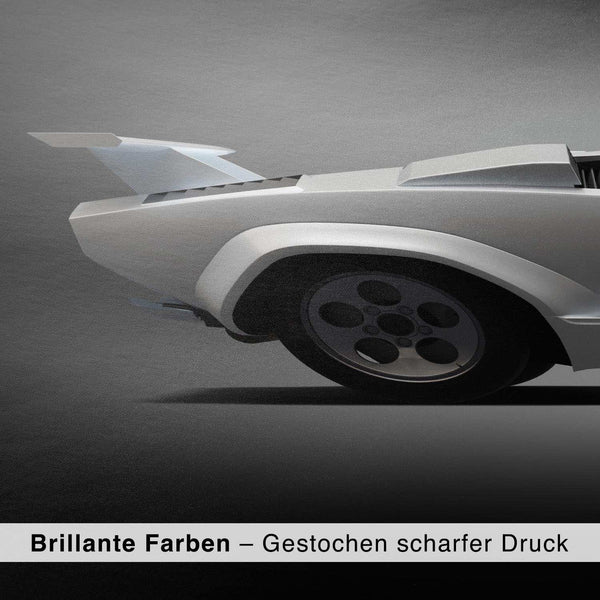 Lade das Bild in den Galerie-Viewer, CAR0337_1