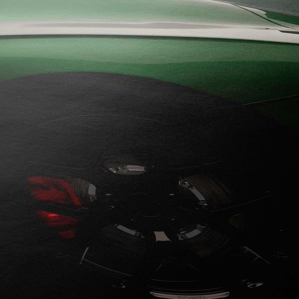 Lade das Bild in den Galerie-Viewer, CAR0367_1
