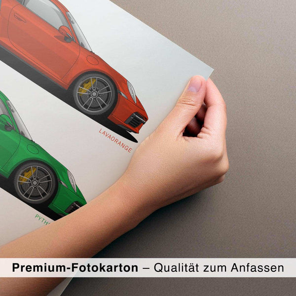 Lade das Bild in den Galerie-Viewer, CAR0013_1