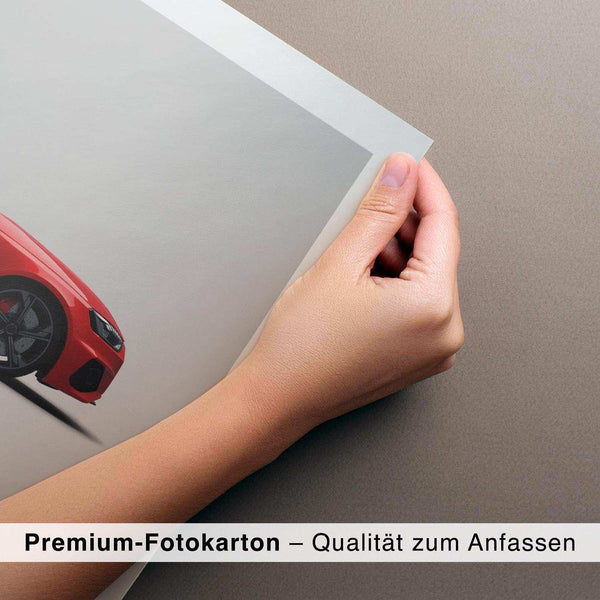 Lade das Bild in den Galerie-Viewer, CAR0116_1