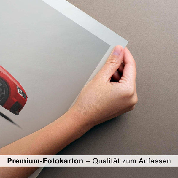 Lade das Bild in den Galerie-Viewer, CAR0118_1