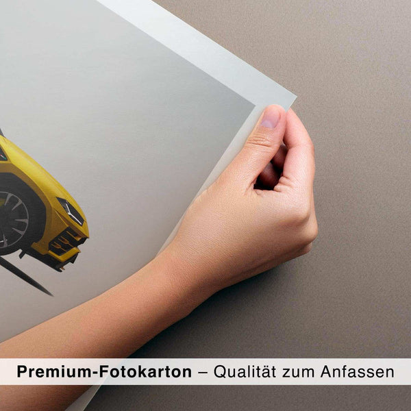 Lade das Bild in den Galerie-Viewer, CAR0124_1