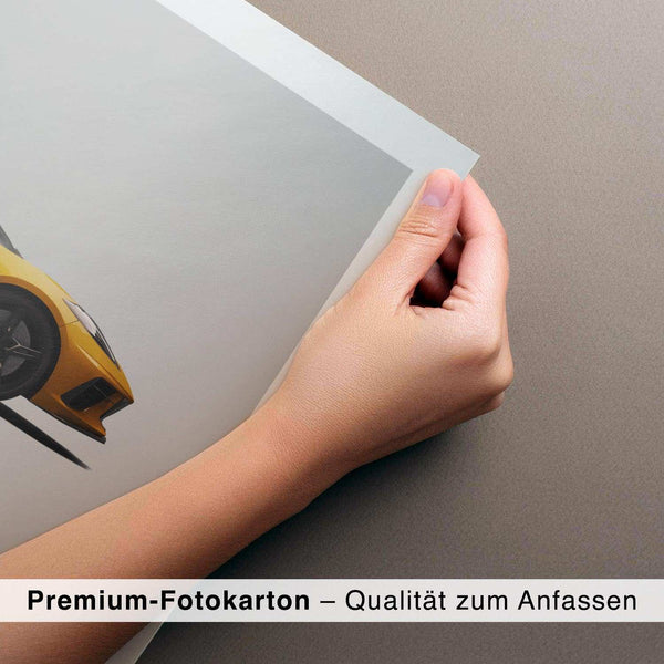 Lade das Bild in den Galerie-Viewer, CAR0288_1