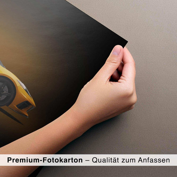 Lade das Bild in den Galerie-Viewer, CAR0289_1