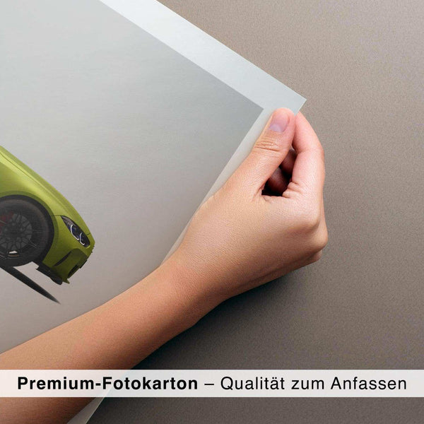 Lade das Bild in den Galerie-Viewer, CAR0332_1