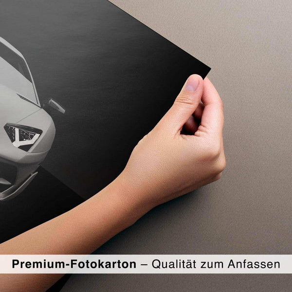 Lade das Bild in den Galerie-Viewer, CAR0350_1