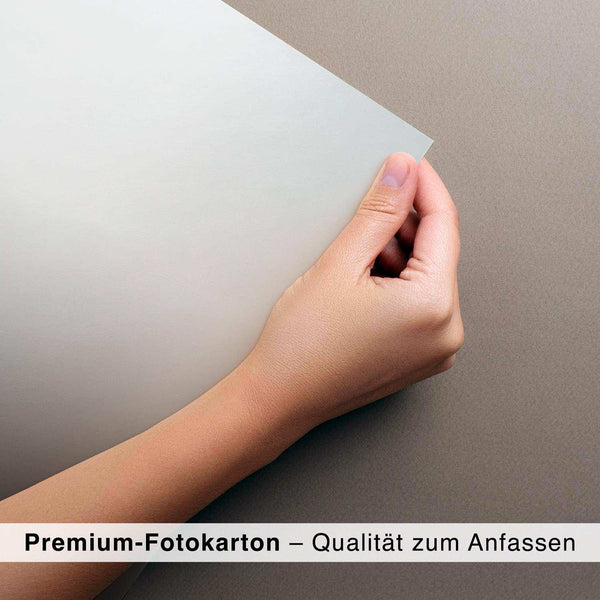 Lade das Bild in den Galerie-Viewer, CAR0354_1