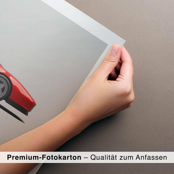 Lade das Bild in den Galerie-Viewer, CAR0374_1