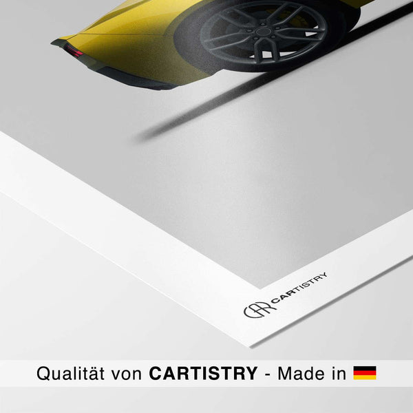 Lade das Bild in den Galerie-Viewer, CAR0022_1