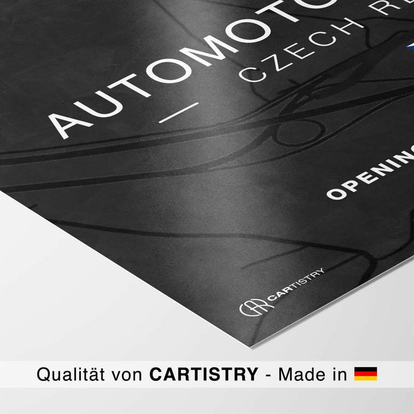 Lade das Bild in den Galerie-Viewer, CAR0313_1