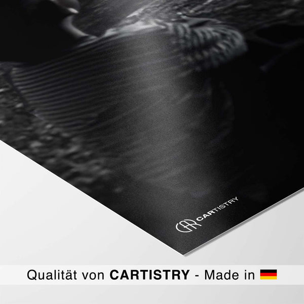 Lade das Bild in den Galerie-Viewer, CAR0357_1