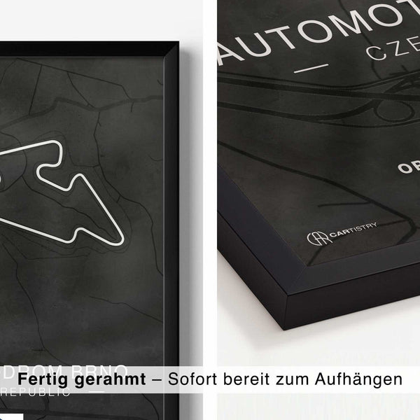 Lade das Bild in den Galerie-Viewer, CAR0313_1