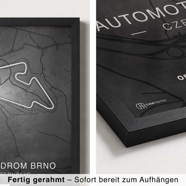 Lade das Bild in den Galerie-Viewer, CAR0313_1