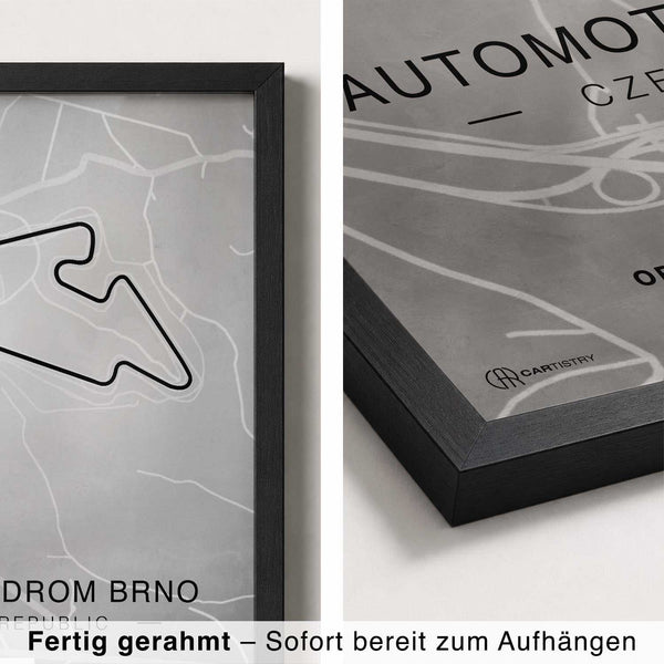 Lade das Bild in den Galerie-Viewer, CAR0317_1
