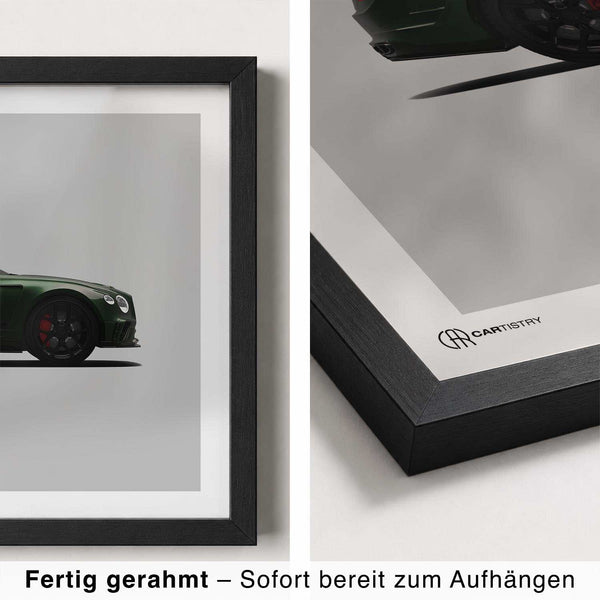Lade das Bild in den Galerie-Viewer, CAR0364_1
