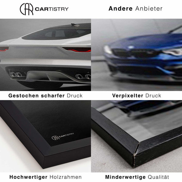 Lade das Bild in den Galerie-Viewer, Cartistry vs. andere Anbieter