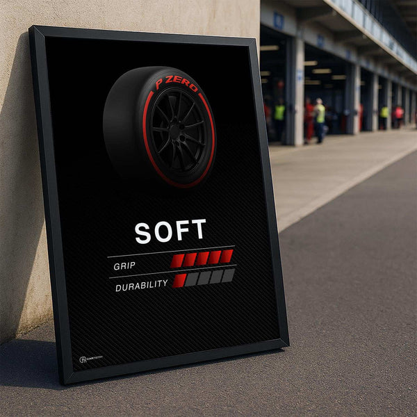 Lade das Bild in den Galerie-Viewer, CAR0282_1