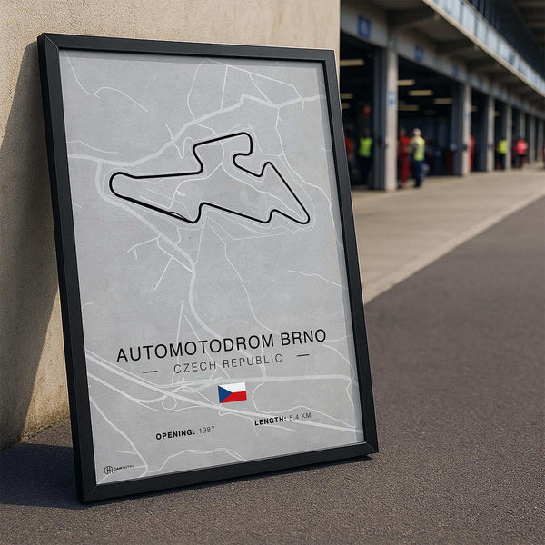 Lade das Bild in den Galerie-Viewer, CAR0317_1