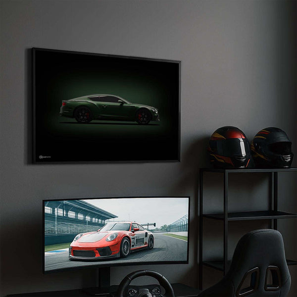 Lade das Bild in den Galerie-Viewer, CAR0363_1