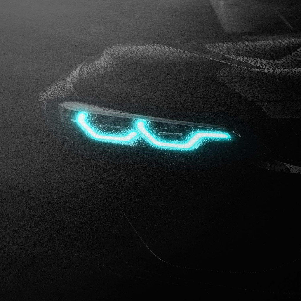 CAR0020_1