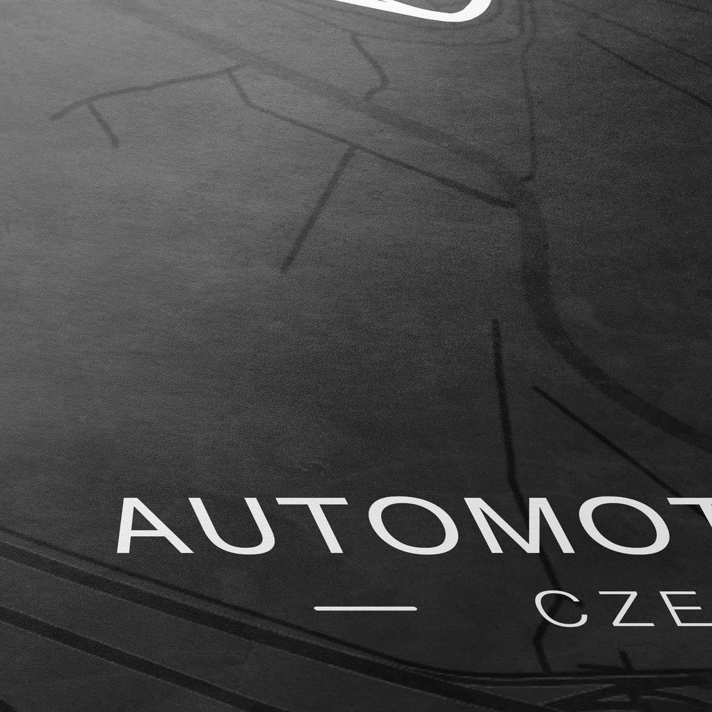 CAR0313_1