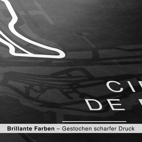 Lade das Bild in den Galerie-Viewer, CAR0027_1
