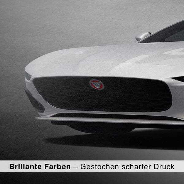 Lade das Bild in den Galerie-Viewer, CAR0183_1
