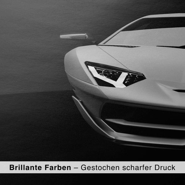 Lade das Bild in den Galerie-Viewer, CAR0350_1
