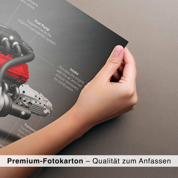 Lade das Bild in den Galerie-Viewer, CAR0285_1
