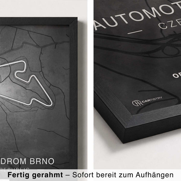 Lade das Bild in den Galerie-Viewer, CAR0313_1
