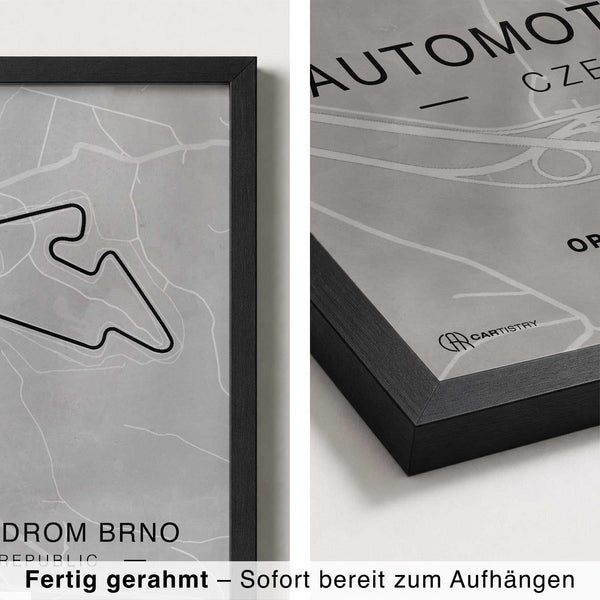 Lade das Bild in den Galerie-Viewer, CAR0317_1
