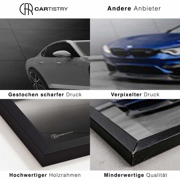 Lade das Bild in den Galerie-Viewer, Cartistry vs. andere Anbieter
