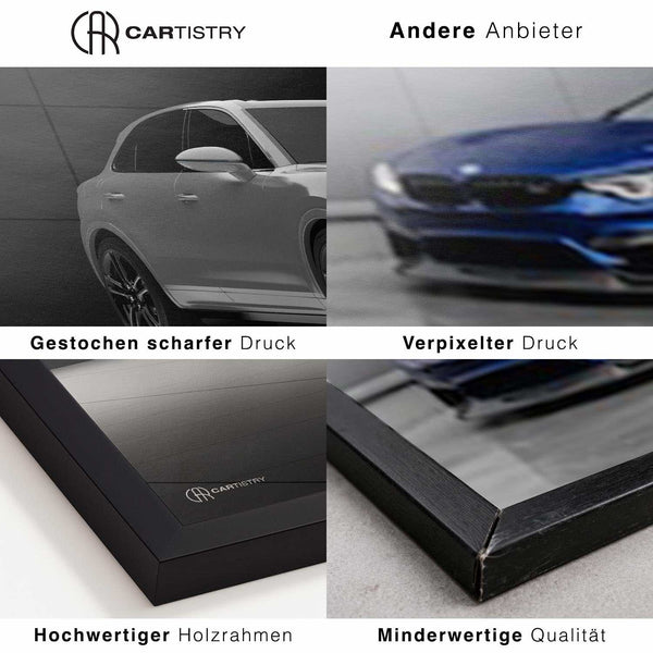 Lade das Bild in den Galerie-Viewer, Cartistry vs. andere Anbieter
