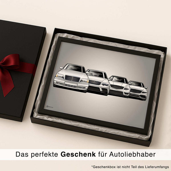 Lade das Bild in den Galerie-Viewer, CAR0014_1
