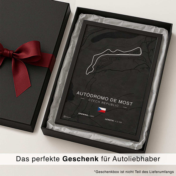 Lade das Bild in den Galerie-Viewer, CAR0312_1
