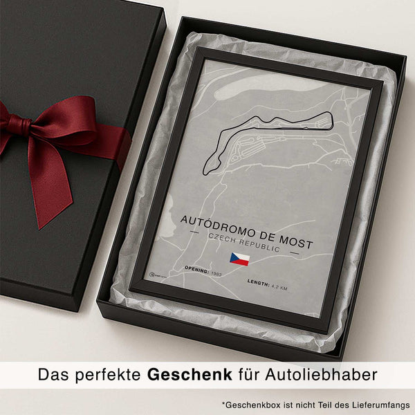 Lade das Bild in den Galerie-Viewer, CAR0316_1
