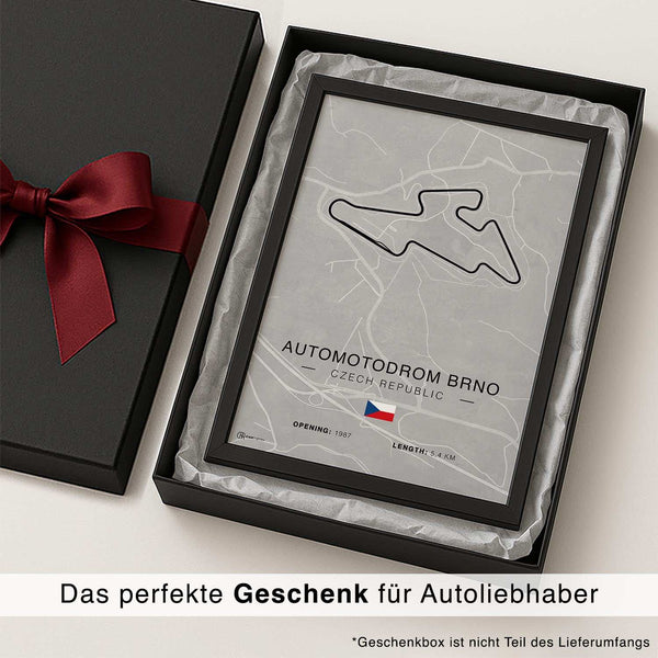Lade das Bild in den Galerie-Viewer, CAR0317_1
